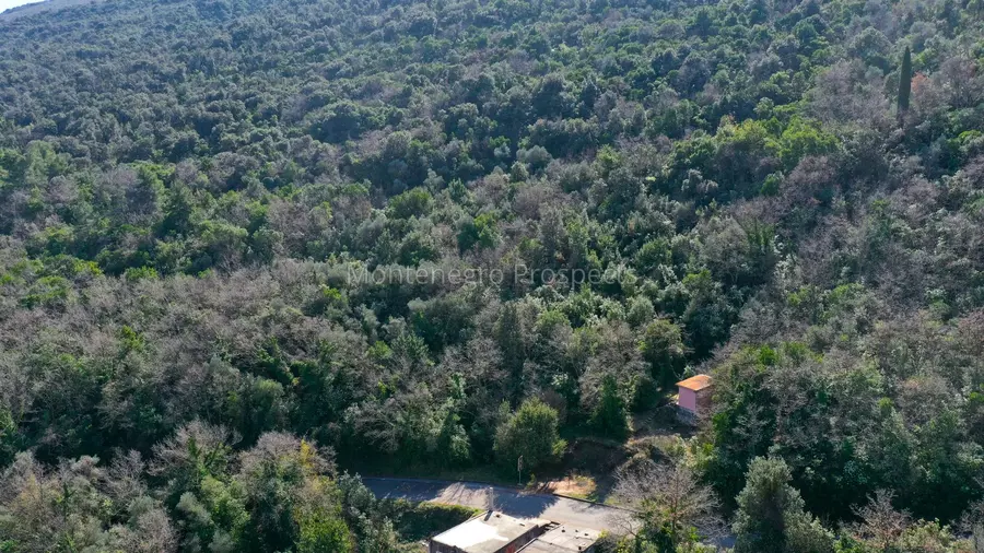 14182 plot in zabrdje 2